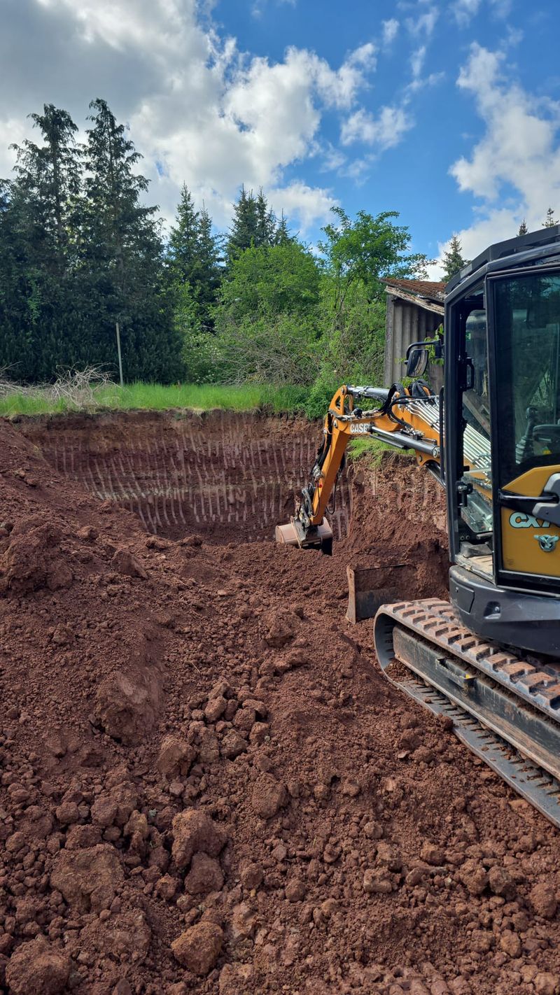 Minibagger profiliert Erdreich am Waldrand